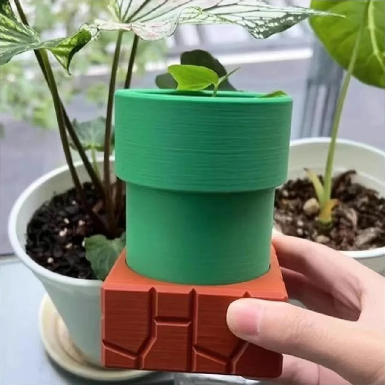 Snake Plant Ceramic - Su Borusu Yamyam Saksılar Etli Saksılar
