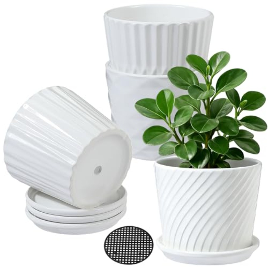 Snake Plant Ceramic - Bitki Saksıları - Bağlantılı Tabaklı Silindir