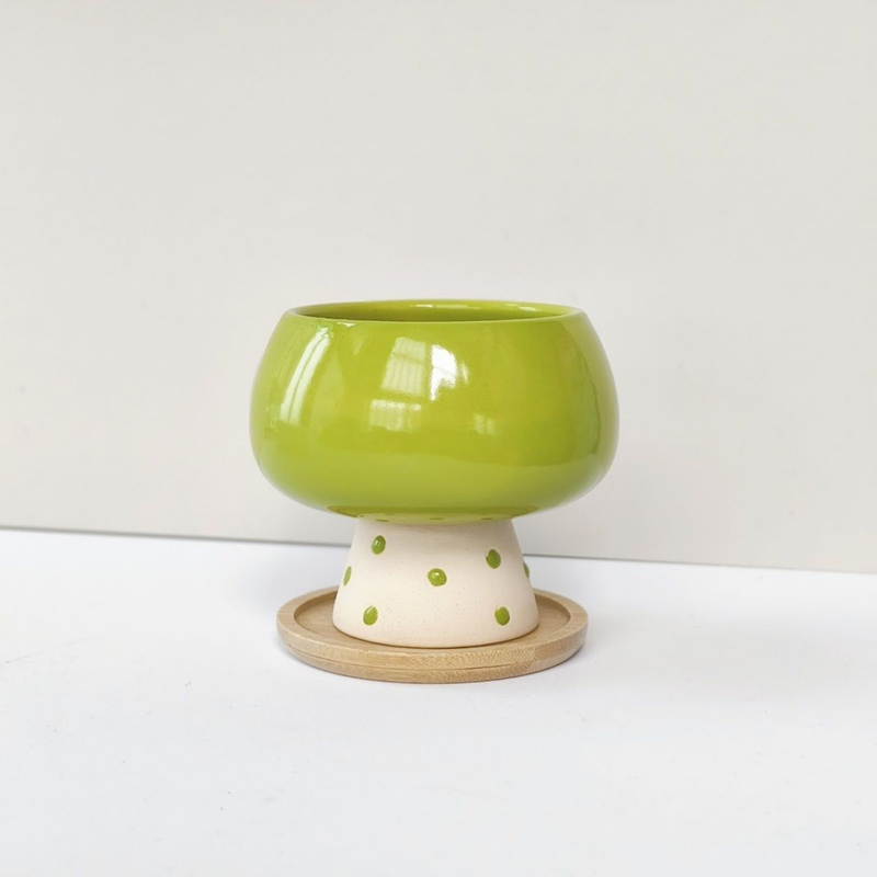 Snake Plant Ceramic - Şık Minimalist Seramik Saksı, Örümcek Yılanı