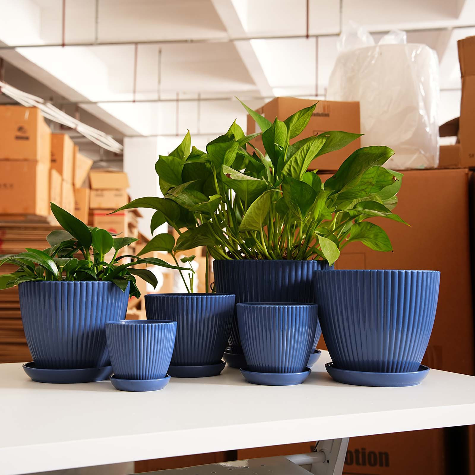 Snake Plant Ceramic - Dikey Çizgili Saksı Kalınlaştırılmış Plastik Çiçek