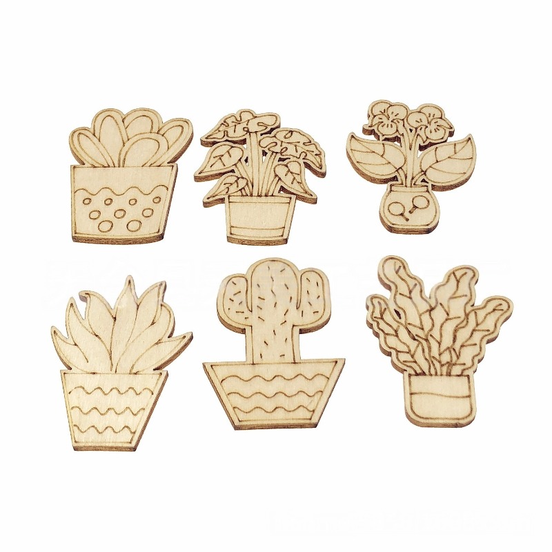 Cactus Mix Pot - 50 adet karışık stiller çiçek kaktüs