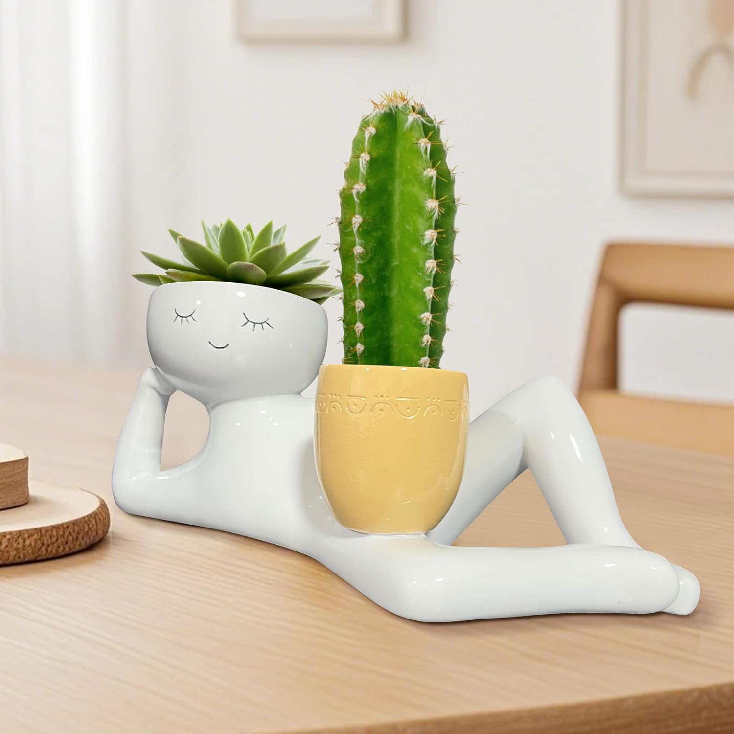 Tembel Küçük Adam Saksı, Benze - Cactus Mix Pot incelemesi ve fiyatı