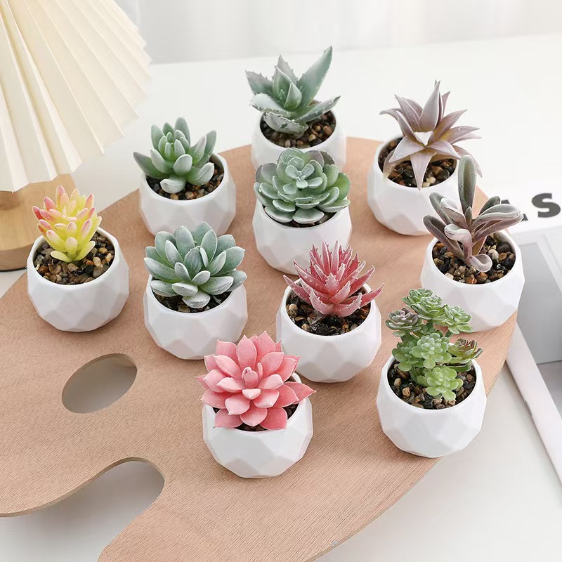 Mini Yapay Bitkiler Simülasyon - Cactus Mix Pot incelemesi ve fiyatı