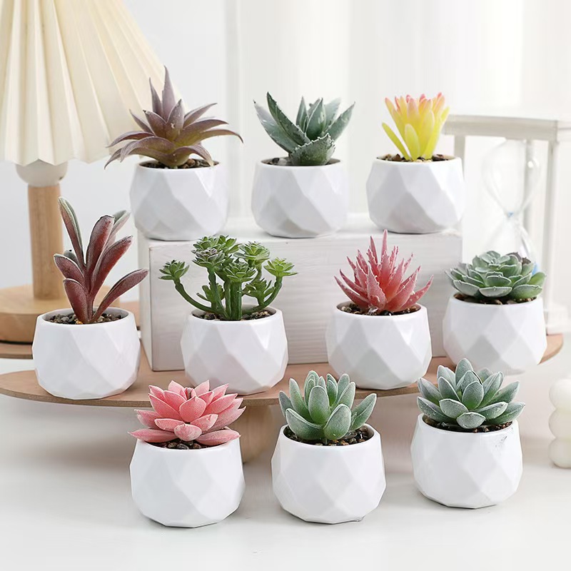 Mini Yapay Bitkiler Simülasyon - Cactus Mix Pot incelemesi ve fiyatı