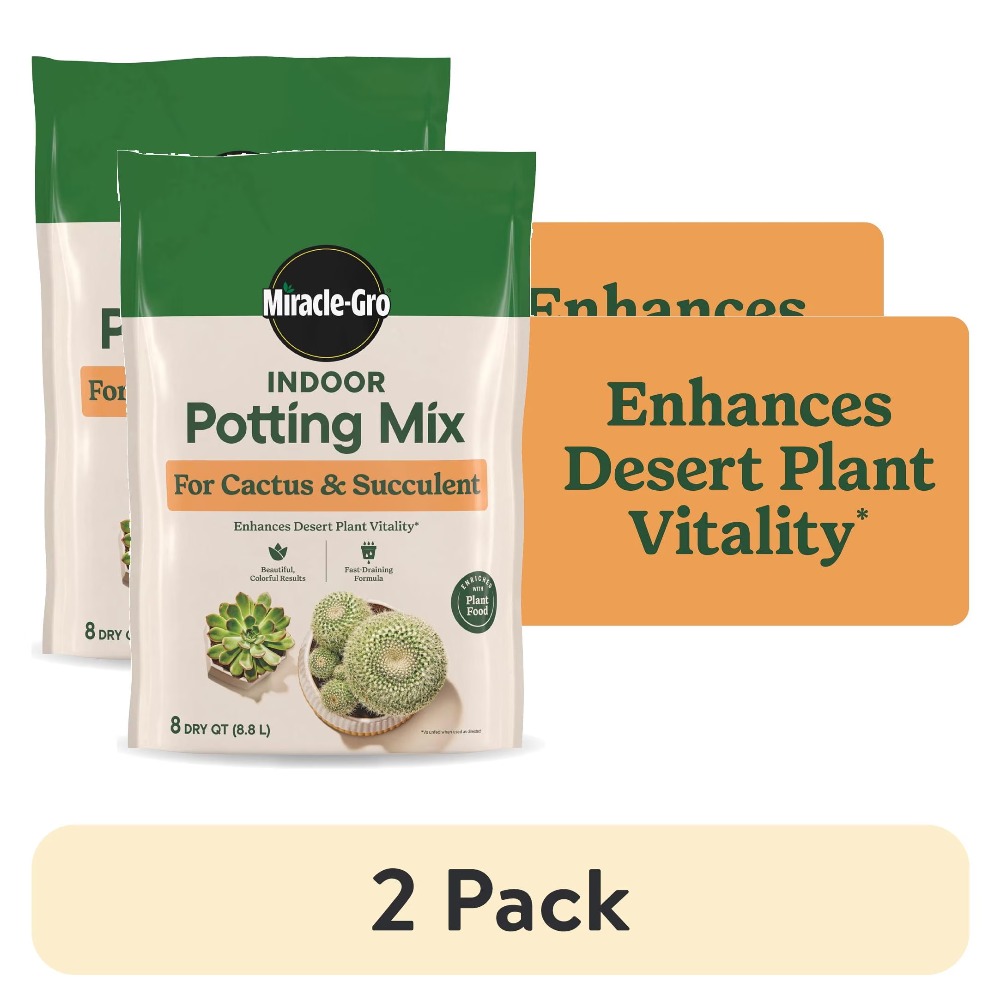2'li Paket 8 Quart Hızlı Sızdı - Cactus Mix Pot incelemesi ve fiyatı