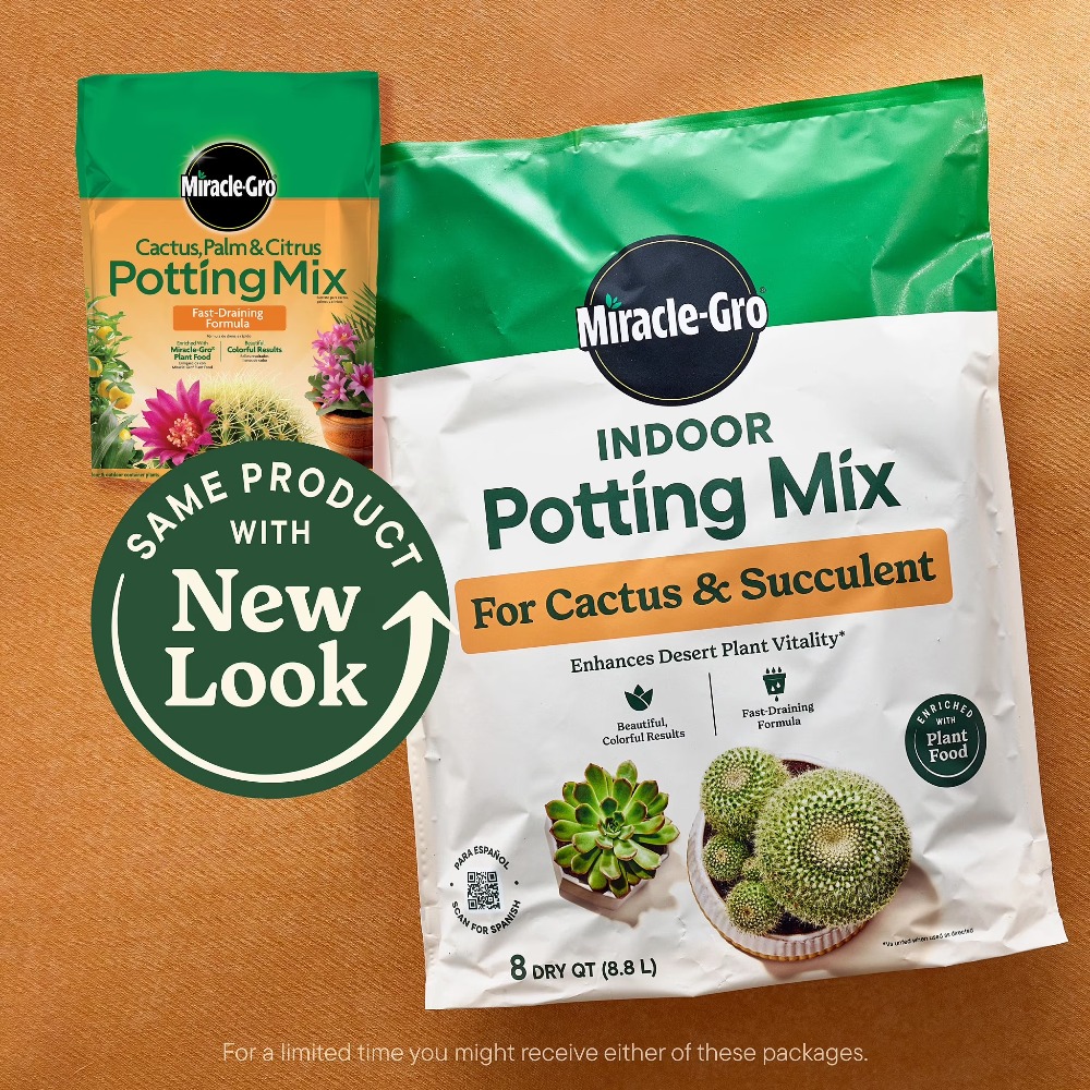 2'li Paket 8 Quart Hızlı Sızdı - Cactus Mix Pot incelemesi ve fiyatı