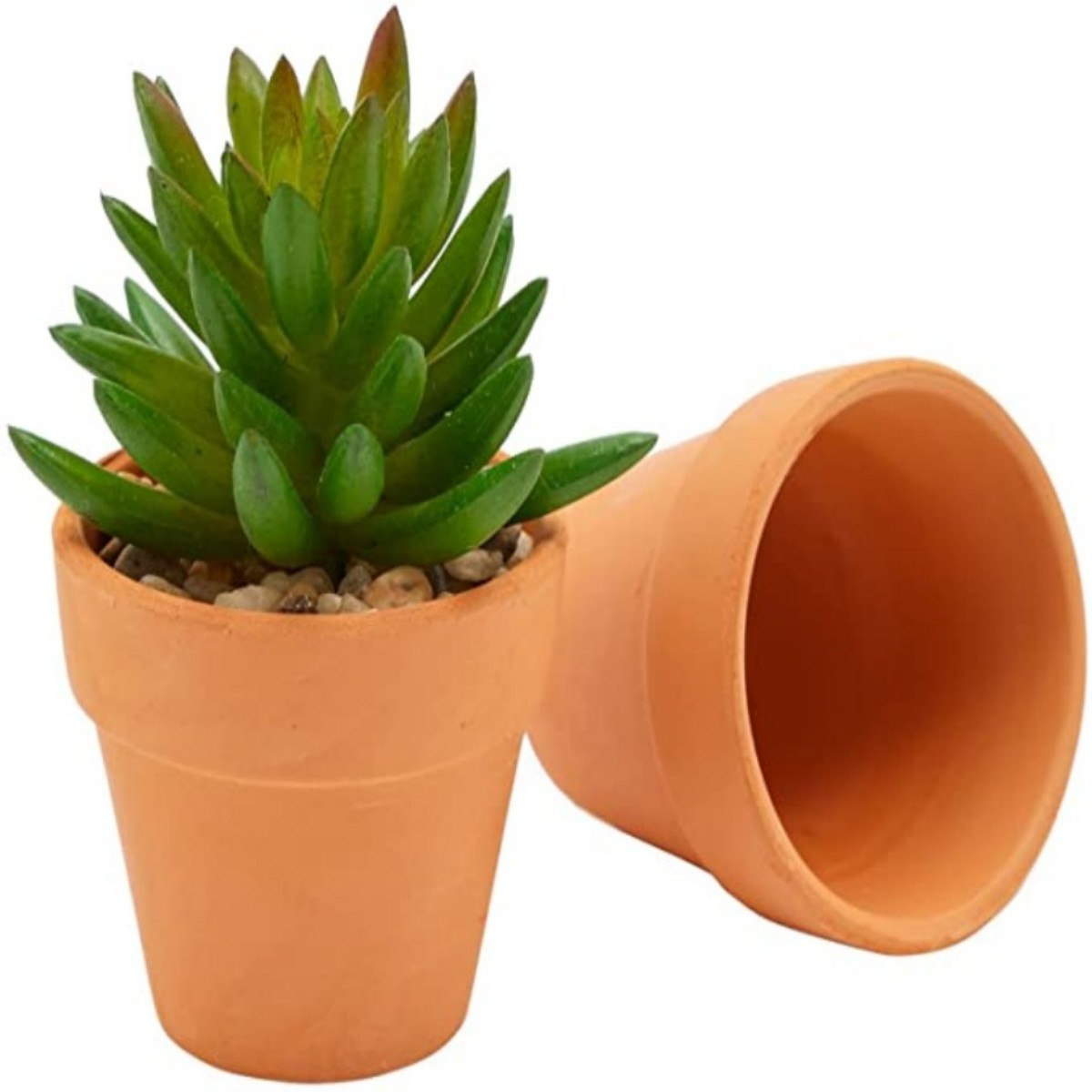 16 Adet 1.8 '' Terra Cotta Ten - Cactus Mix Pot incelemesi ve fiyatı