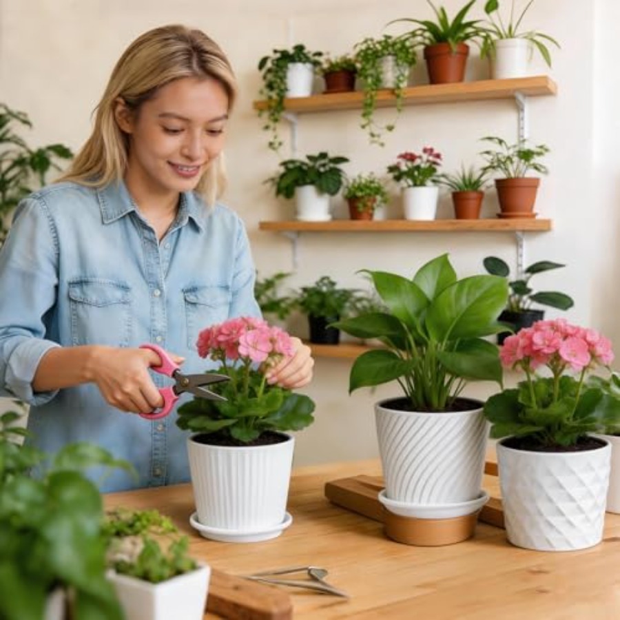 Bitki Saksıları - Bağlantılı T - Snake Plant Ceramic incelemesi ve fiyatı