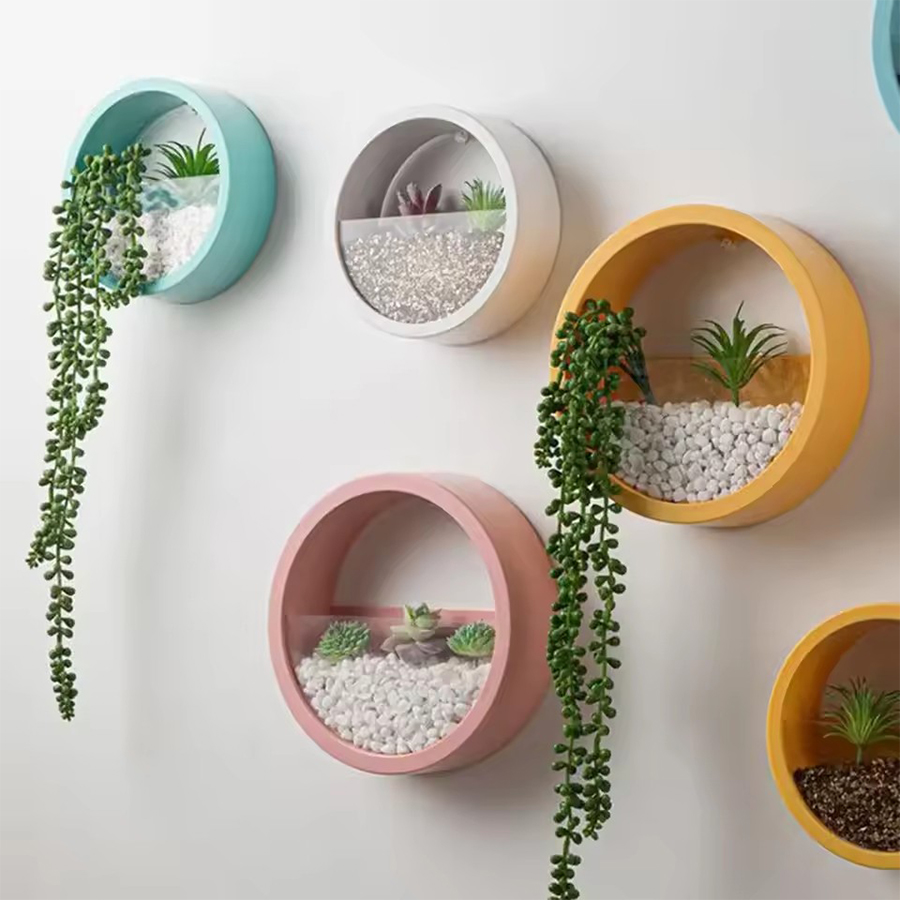 Yuvarlak Duvara Monte Saksı 3  - Snake Plant Ceramic incelemesi ve fiyatı