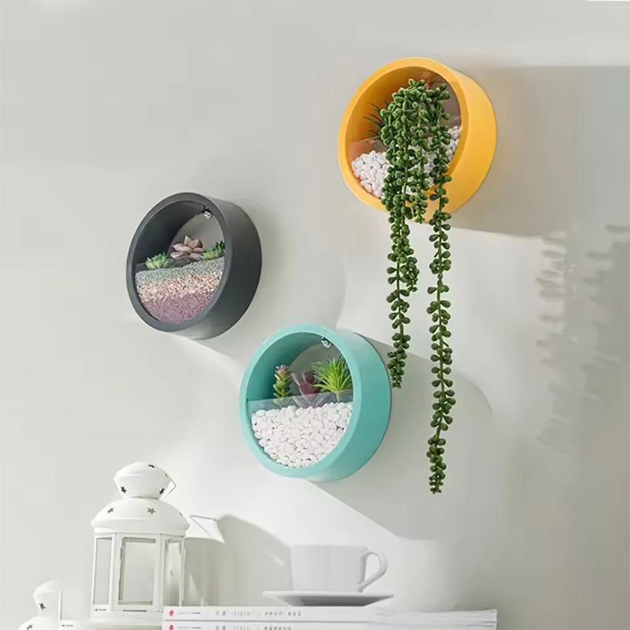 Yuvarlak Duvara Monte Saksı 3  - Snake Plant Ceramic incelemesi ve fiyatı