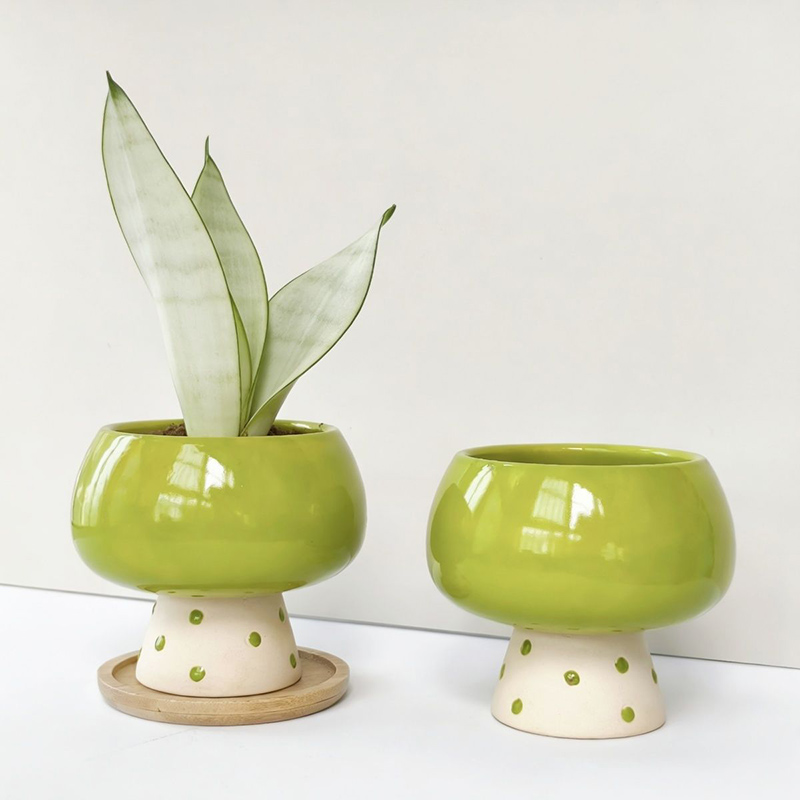 Şık Minimalist Seramik Saksı,  - Snake Plant Ceramic incelemesi ve fiyatı