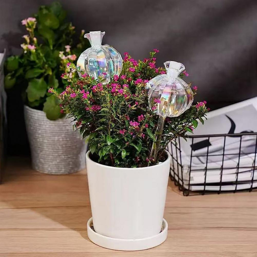 24 cm Kaktüs Kendinden Sulama  - Cactus Mix Pot incelemesi ve fiyatı