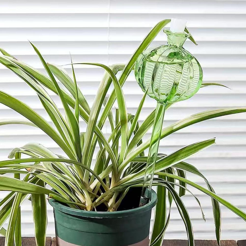 24 cm Kaktüs Kendinden Sulama  - Cactus Mix Pot incelemesi ve fiyatı