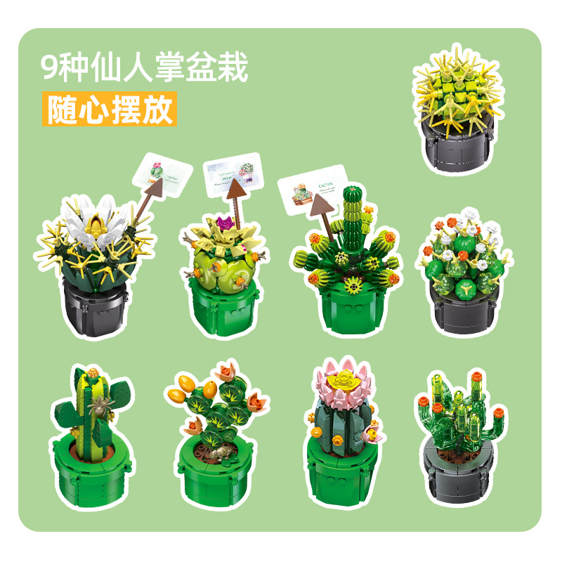 JIE-STAR JJ9175 Kaktüs Sukulen - Cactus Mix Pot incelemesi ve fiyatı