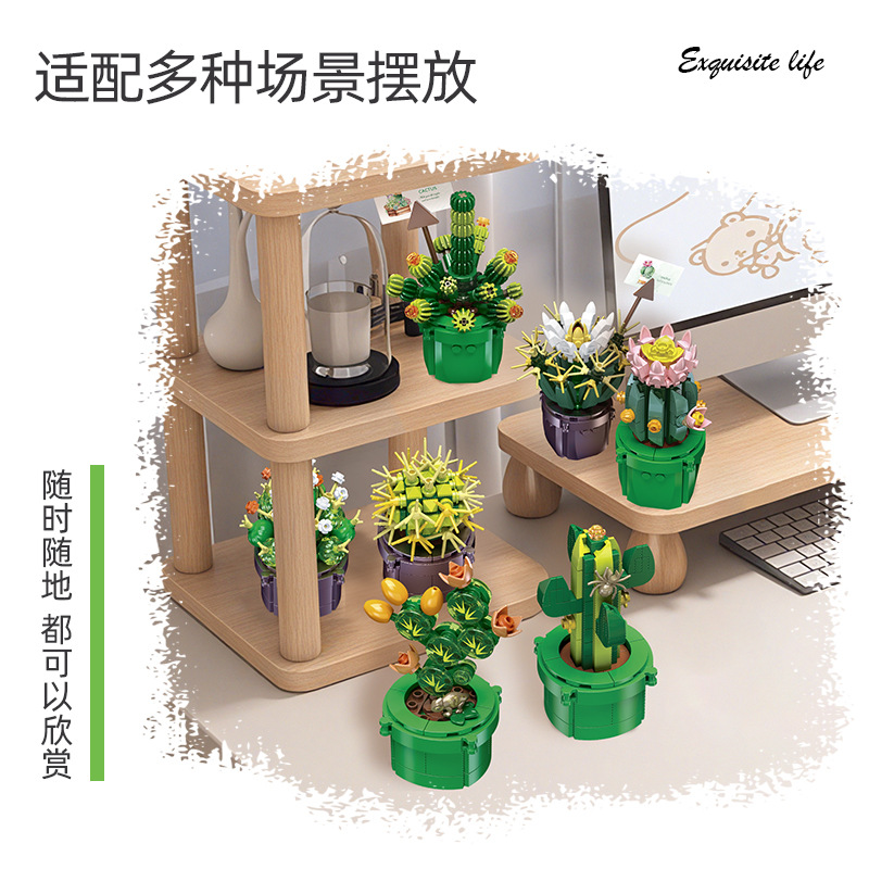 JIE-STAR JJ9175 Kaktüs Sukulen - Cactus Mix Pot incelemesi ve fiyatı