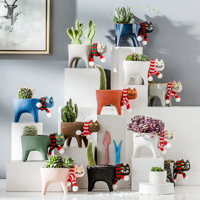 Kedi saksı yaratıcı sevimli se - Cactus Mix Pot incelemesi ve fiyatı