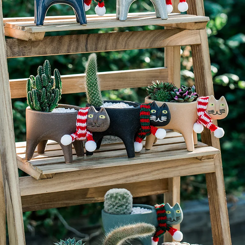 Kedi saksı yaratıcı sevimli se - Cactus Mix Pot incelemesi ve fiyatı