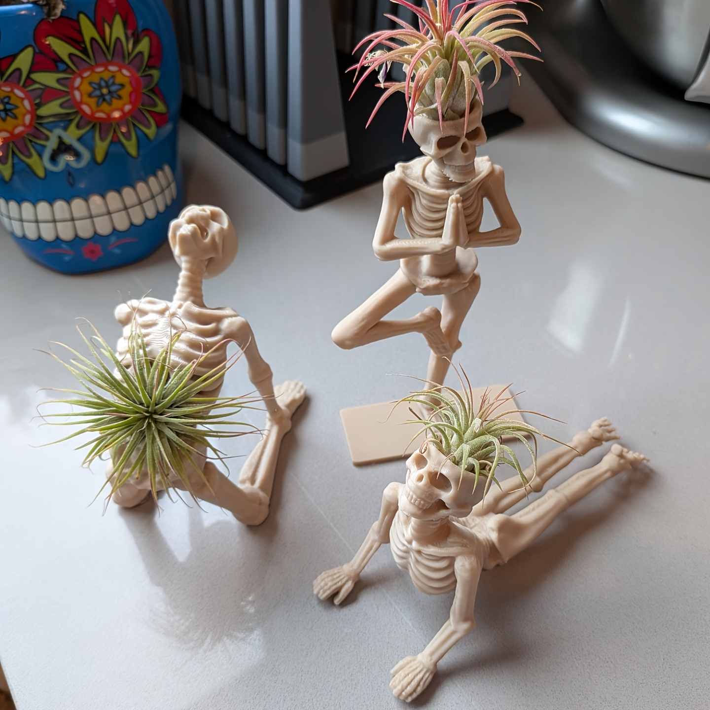 3D Baskılı Yoga İskeleti Bitki - Snake Plant Ceramic incelemesi ve fiyatı