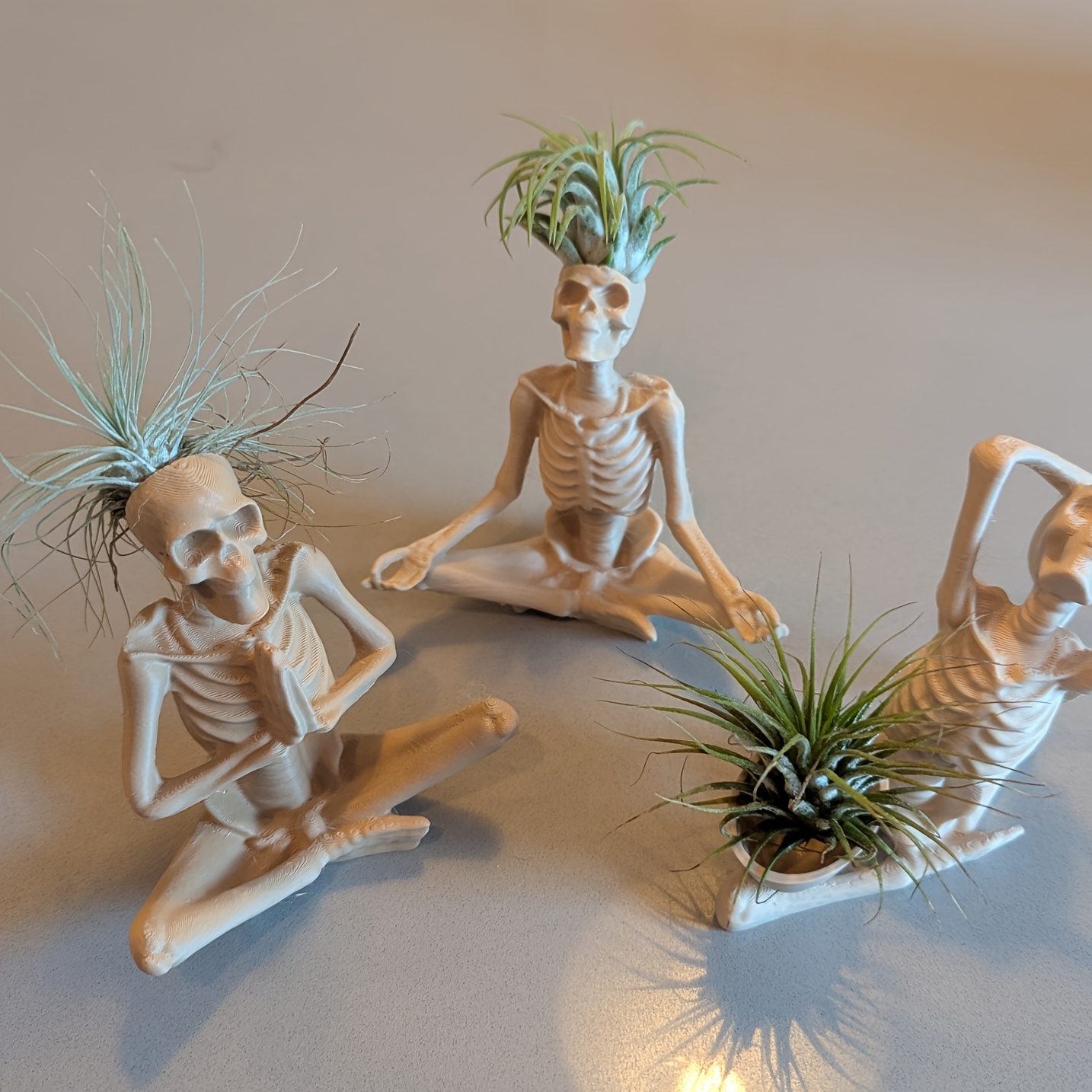 3D Baskılı Yoga İskeleti Bitki - Snake Plant Ceramic incelemesi ve fiyatı